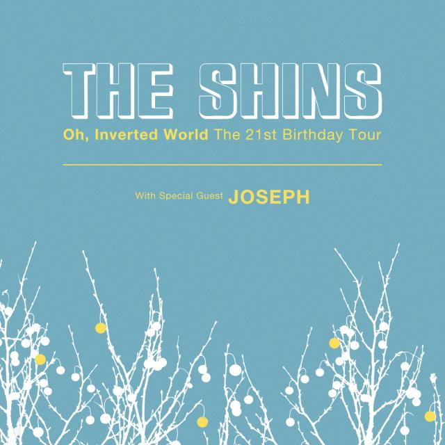 The shins