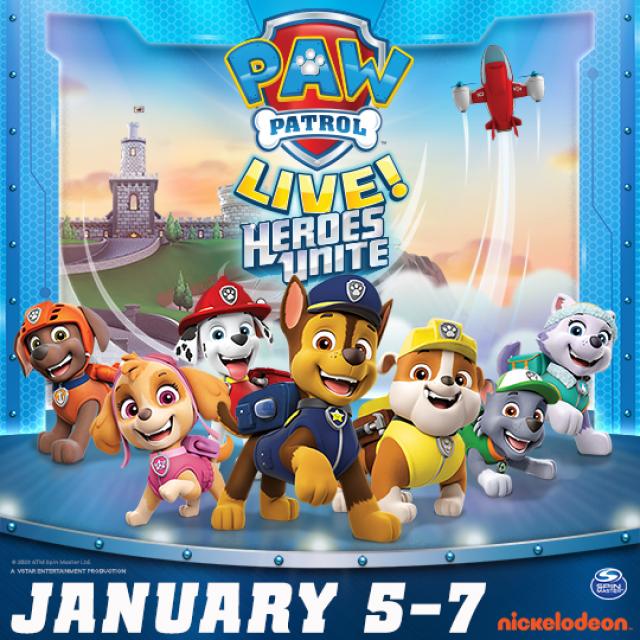 PAW PATROL LIVE